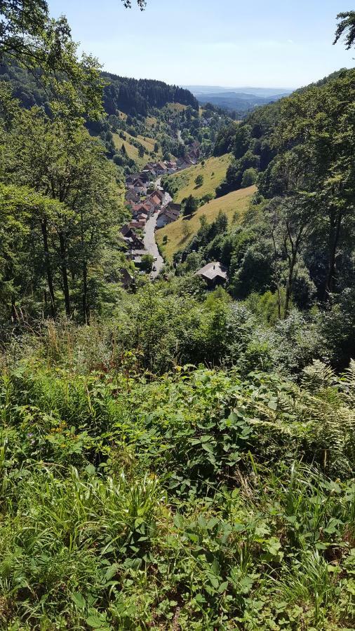 Fewo Bergblick Osterode am Harz ภายนอก รูปภาพ