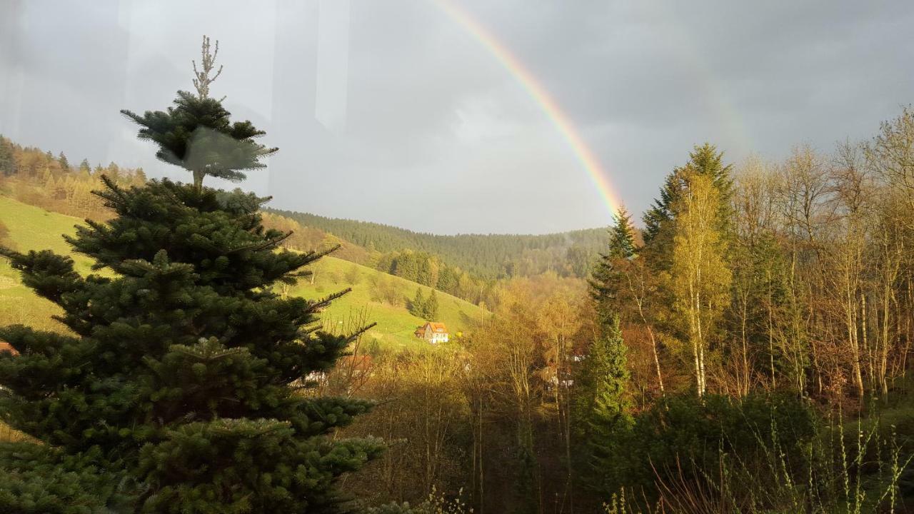 Fewo Bergblick Osterode am Harz ภายนอก รูปภาพ